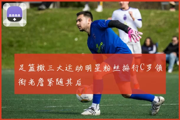 足篮橄三大运动明星粉丝排行C罗领衔老詹紧随其后